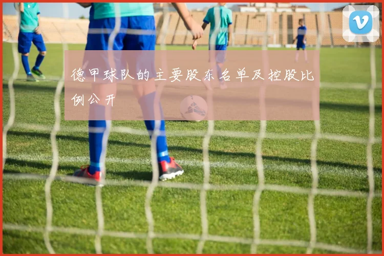 德甲球队的主要股东名单及控股比例公开