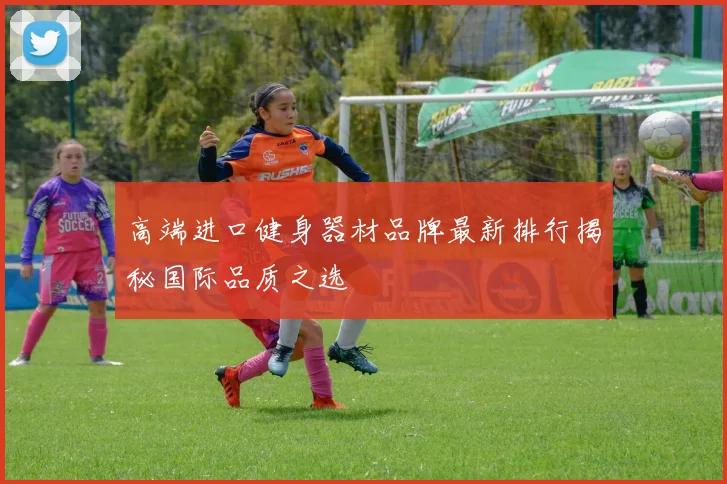 高端进口健身器材品牌最新排行揭秘国际品质之选