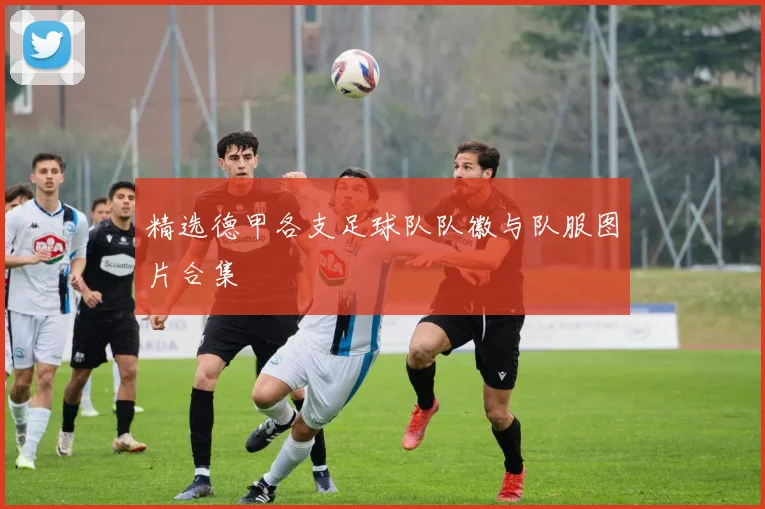 精选德甲各支足球队队徽与队服图片合集